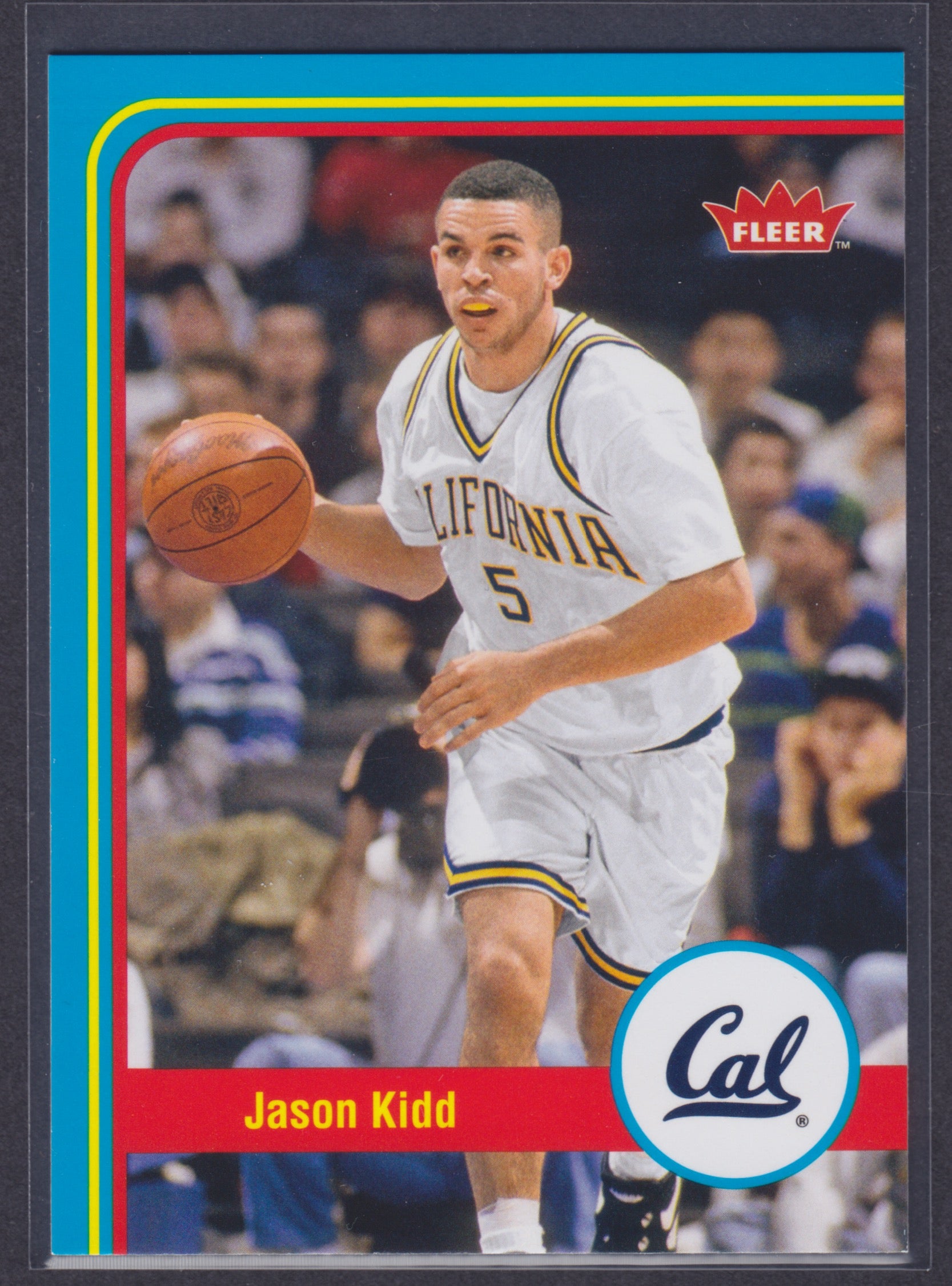 2012-13 Fleer Retro #3 Jason Kidd - NBA
